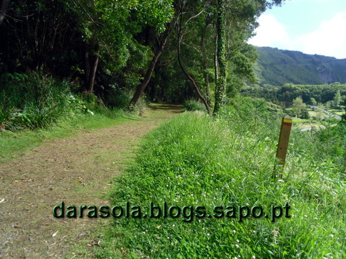 azores_flores_alagoinha_04.JPG