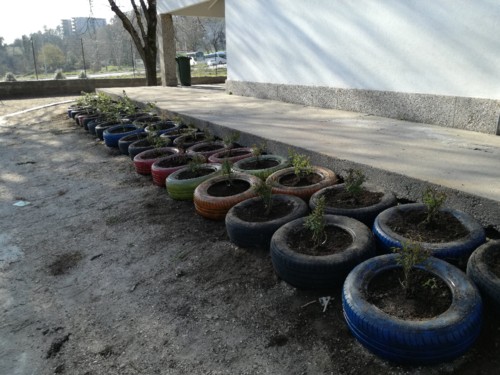 IMG_20180321_161723.jpg IMG_20180321_161723.jpg