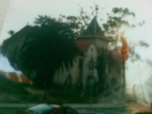 incêndio palmeira.jpg