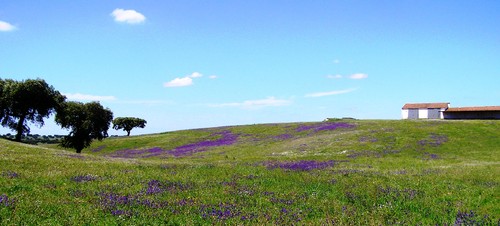 around-beja-014.jpg