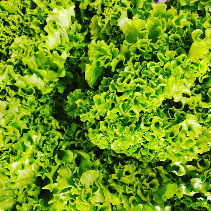 437909268_817318880425524_2991207181144208600_n.jp