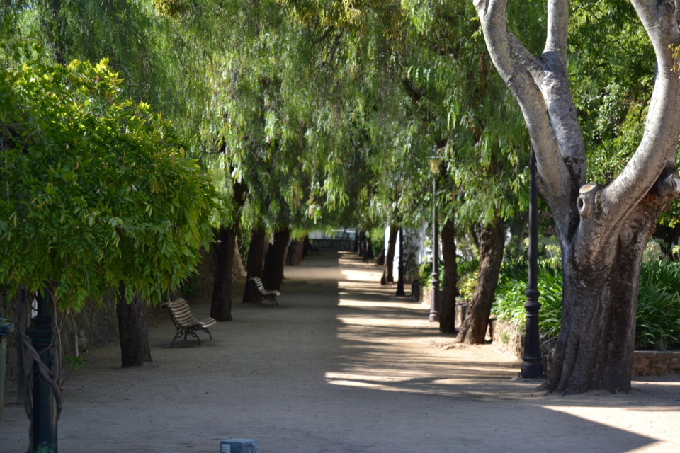 Jardim Público (1).JPG