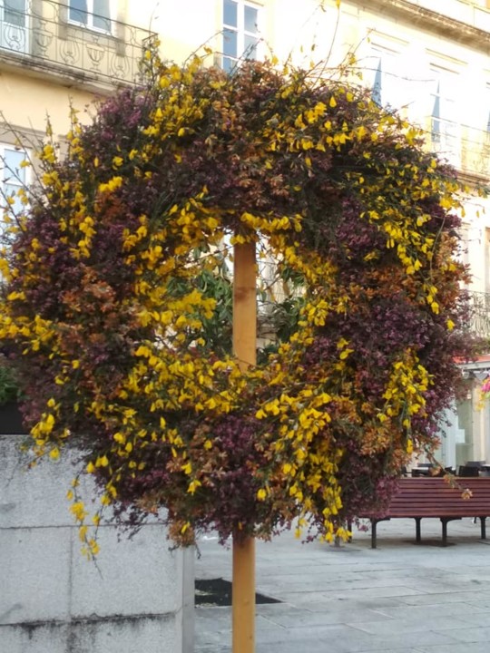 179753420_3906055576148246_2233467548515786071_n.j