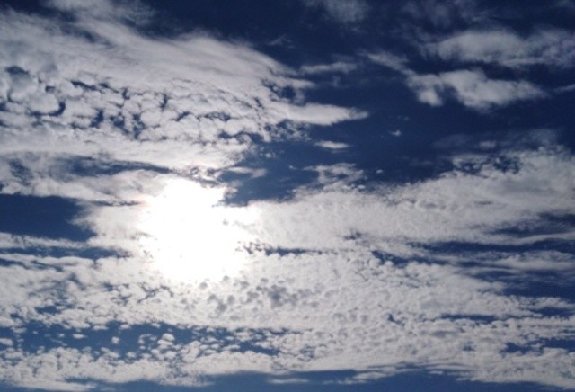 IMG_20210528_084756cópia.jpg IMG_20210528_084756cópia.jpg