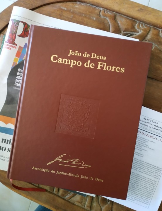 joao de deus campo de flores (2).jpg