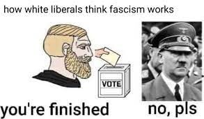 voting hitler out.jpg