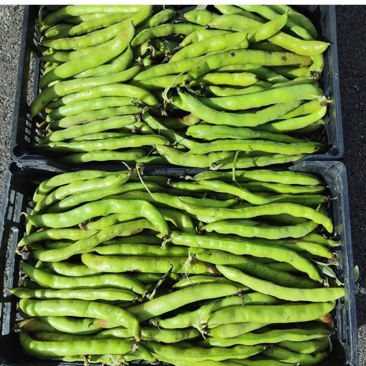 486679269_18469195165066958_8984919262353933151_n.