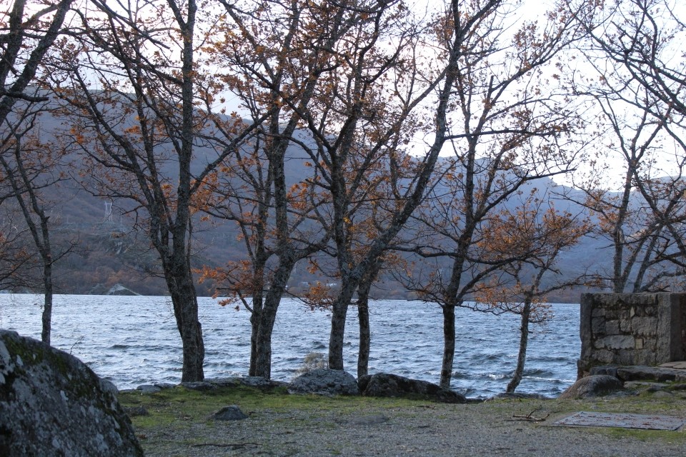 20191130154748_IMG_1984_resized_20200123_032602302