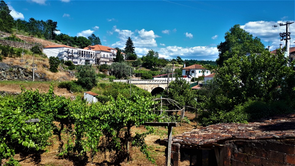 PEDROGÃO PEQUENO.jpg