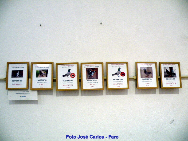 DSCF5010 - Cópia.JPG