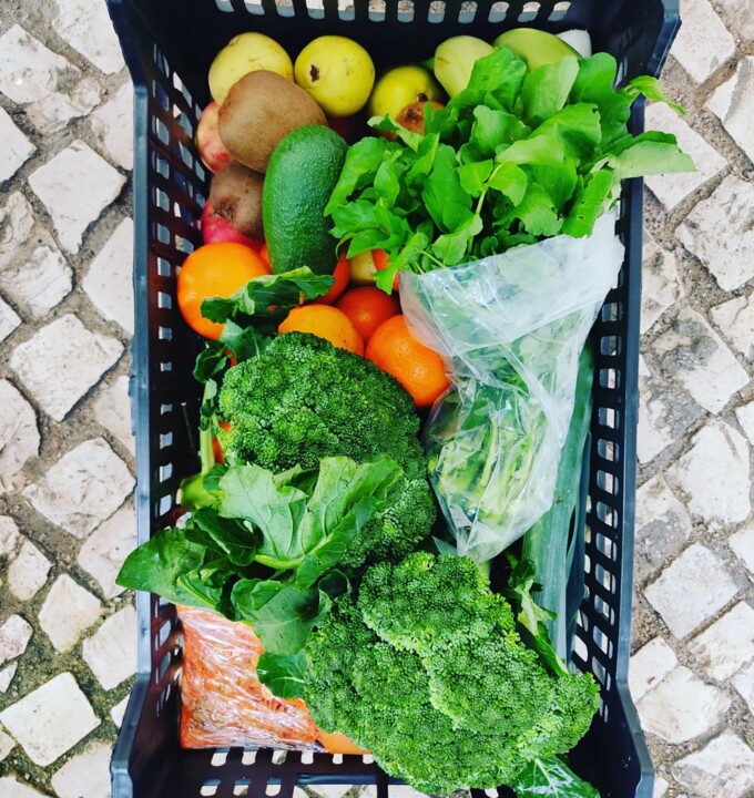 324097063_1636569456746450_1996615383179767644_n.j