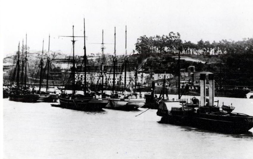 bacalhoeiros no porto.JPG