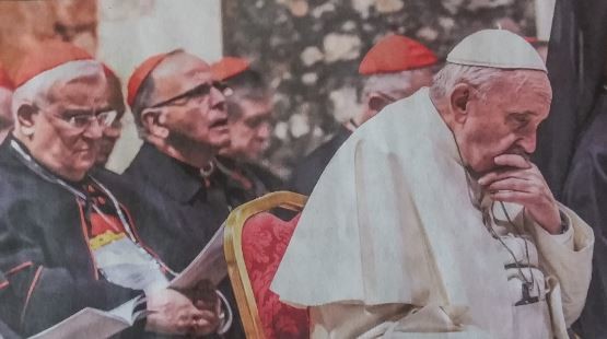 Papa abatido (1).JPG