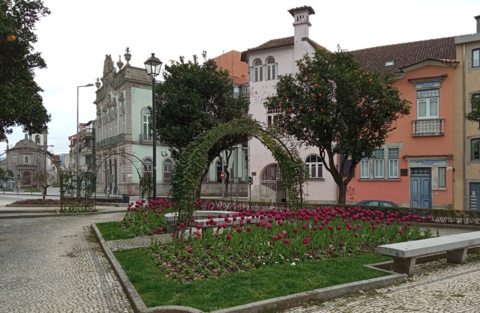 IMG_20210223_120426.jpg IMG_20210223_120426.jpg