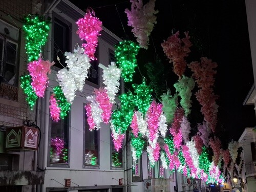 22c_Águeda (216).jpg