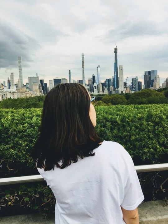 Skyline de Manhattan vista do MET Skyline de Manhattan vista do MET