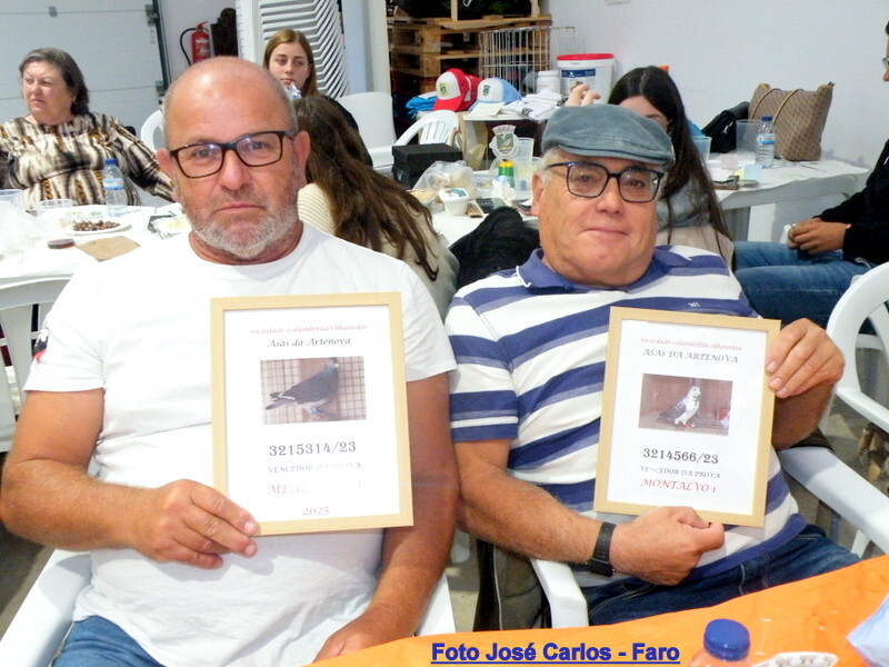 DSCF5138 - Cópia.JPG