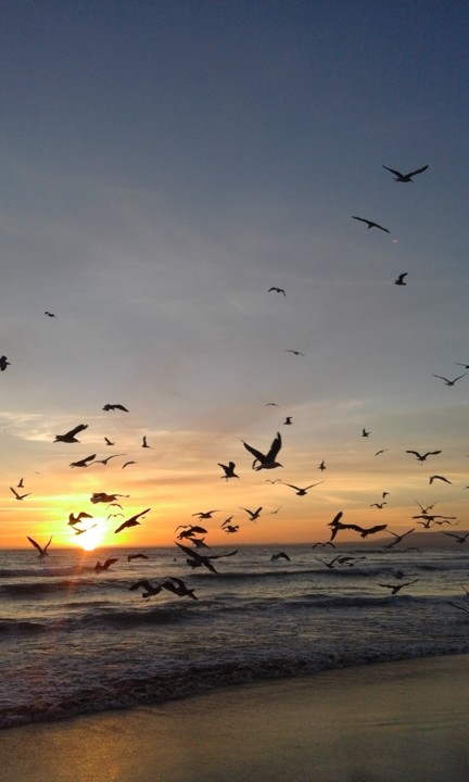 Pôr do sol. Costa. Foto original. 2020.08.24.jpg