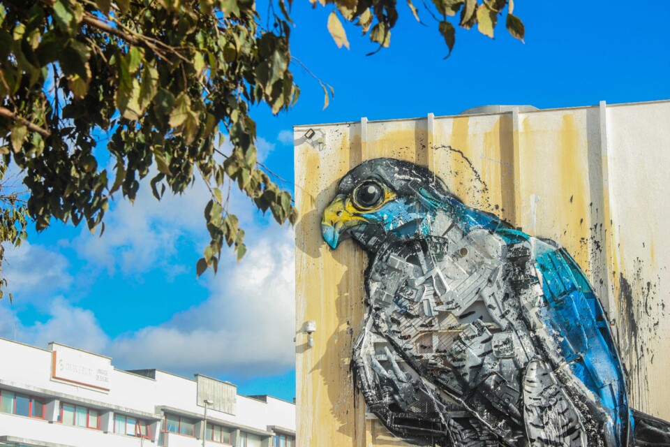 falcao-peregrino bordalo 6.jpg