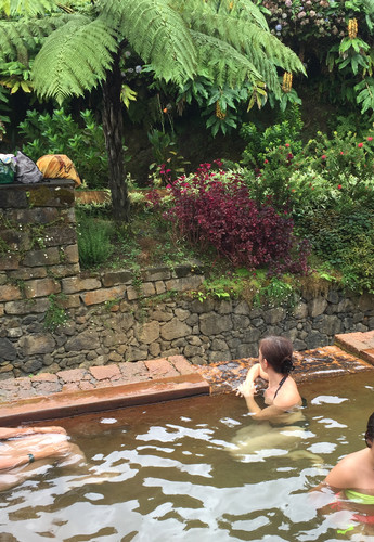 IMG_4263.JPG IMG_4263.JPG