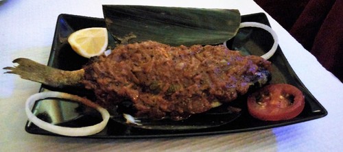 costa do malabar 4.jpg