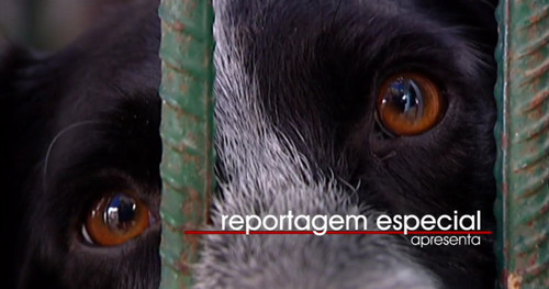 Reportagem Especial 