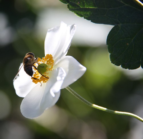 IMG_4744.jpg IMG_4744.jpg