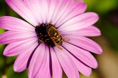 12874202_1174586185887253_1802607352_o (1).jpg