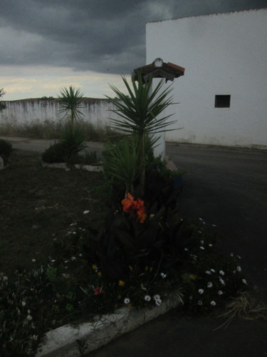 IMG_5782.JPG IMG_5782.JPG