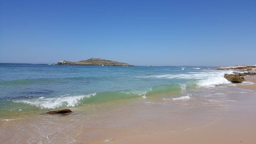 13938334_1580352678933455_6981170404170711665_n.jp