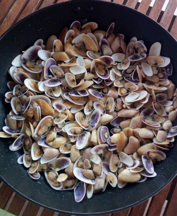 20200826_075943.jpg 20200826_075943.jpg