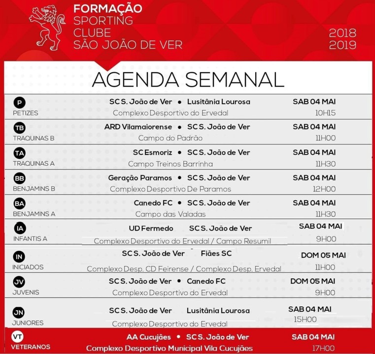 Cartaz SJVer 