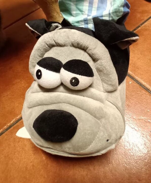 Não me canso disto pantufas.JPG