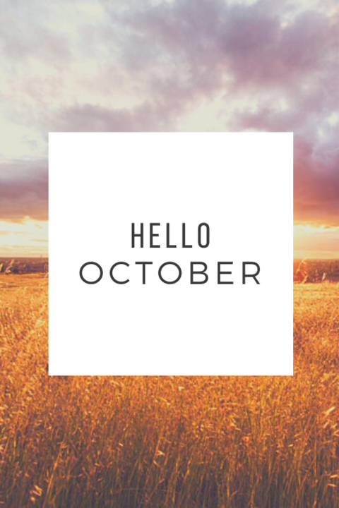 120701381_372216483820788_5108246942747453316_n.pn 120701381_372216483820788_5108246942747453316_n.pn