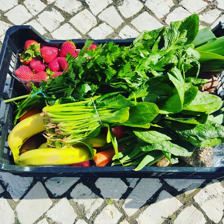 491690920_18474975238066958_3369572431500800815_n.