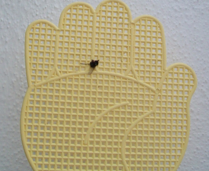 100_6185.JPG 100_6185.JPG