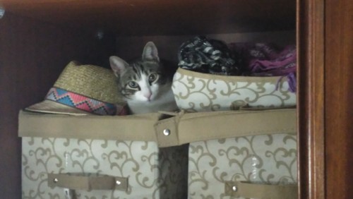 IMG_20190119_221449.jpg IMG_20190119_221449.jpg