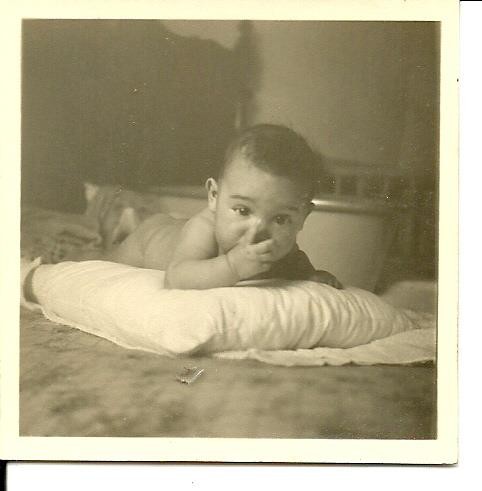 EU COM MEIA DÚZIA DE DIAS.jpg