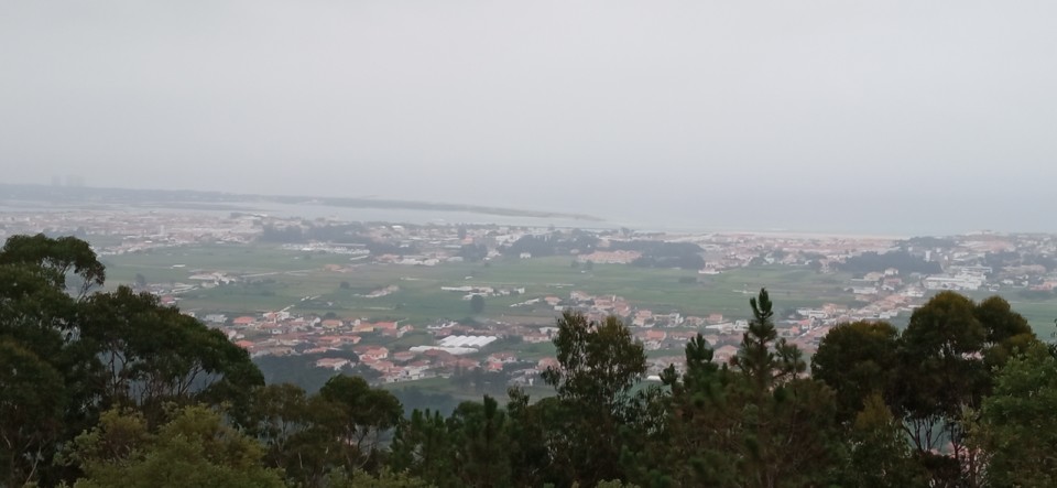 IMG_20210626_164753.jpg IMG_20210626_164753.jpg