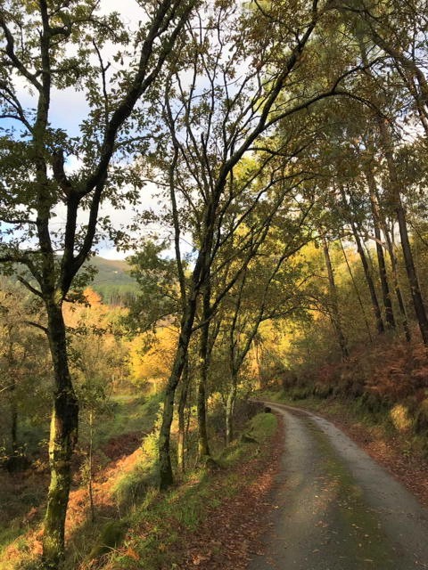caminho de barros.JPG caminho de barros.JPG