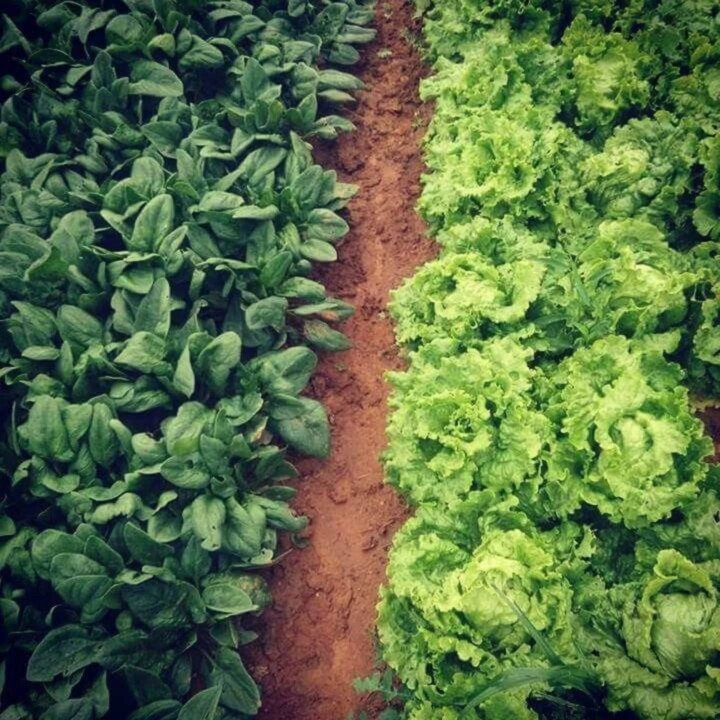 514616056_18486886156066958_3619236748976517323_n.