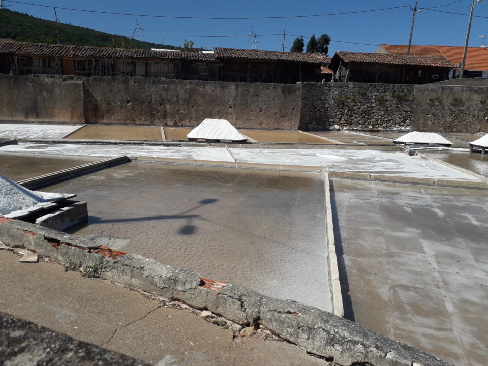 20190804_160835.jpg 20190804_160835.jpg