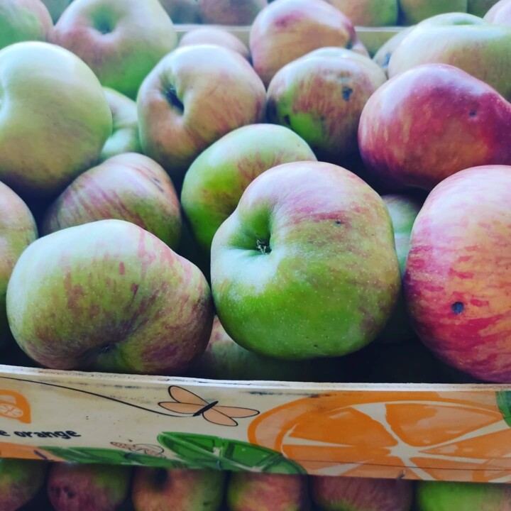 520268085_18489379630066958_4722378170068593393_n.