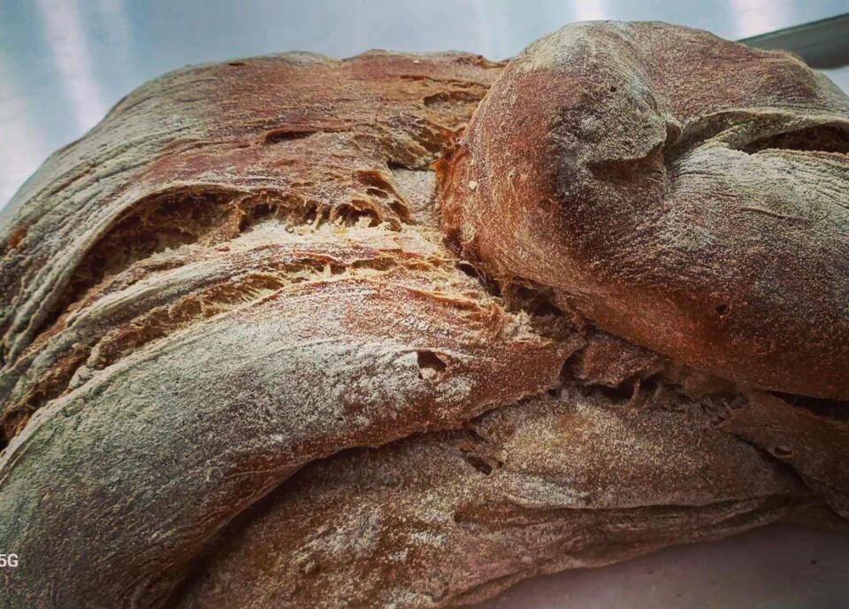 466417736_18444119971066958_5326893926942253067_n.