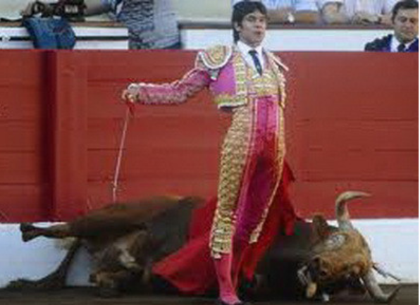 TOURO MASSACRADO.PNG