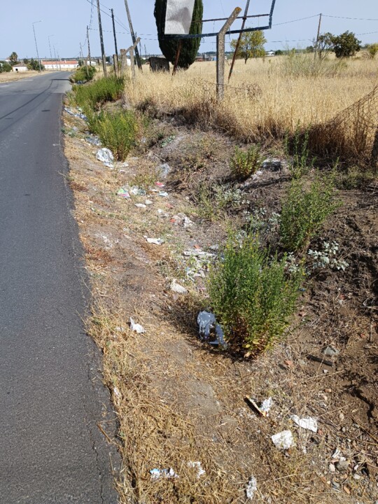 Lixo nas ruas de Beja (1).jpg