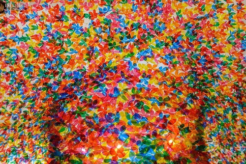 10700017_847259615314097_2921113764629981623_o.jpg 10700017_847259615314097_2921113764629981623_o.jpg