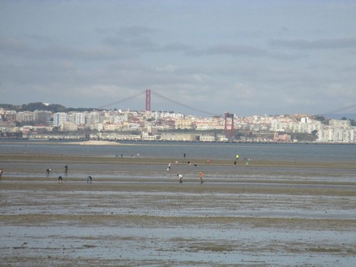 13094281_10207406602901874_4821692993395750576_n.j