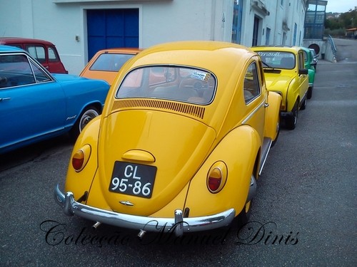 Rota do Moscatel Favaios 2015 (164).jpg