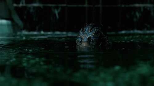 the shape of water (1).jpg the shape of water (1).jpg